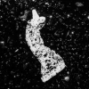 Exhibition - The Asphalt Memories