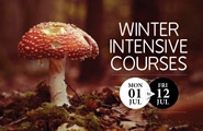 Winter Holiday Courses